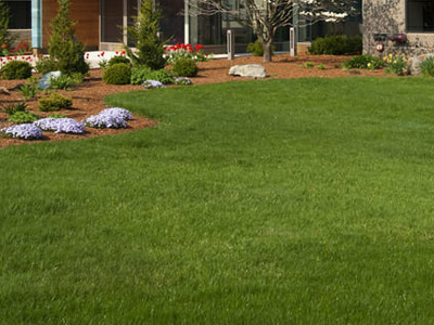 Commercial Landscaping, Springfield, PA