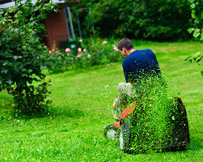 Lawn Maintenance, Media PA